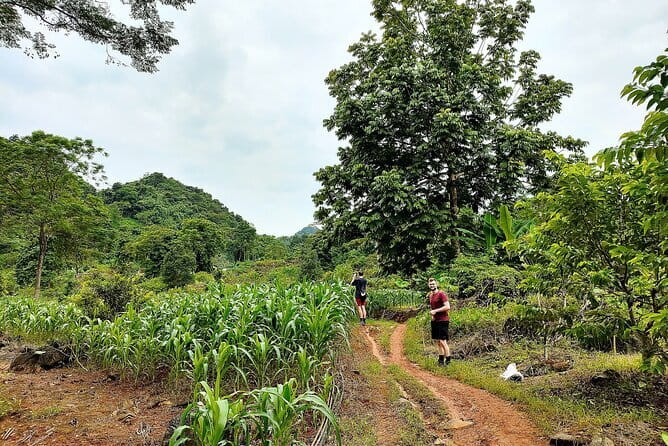 1 Day Ha Giang Loop Tour by Motorbike with Easy Rider - Loopers - Traditional lunch at the Lung Tam junction