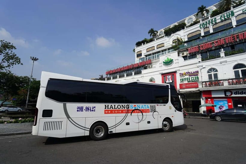 1 Day On 5-Star Halong Cruise With Highest Safety Equipments - Lunch with seafood and plant-based choices