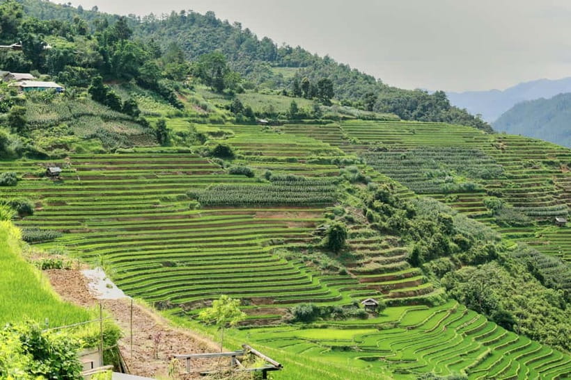 1-Day Sapa Long Trek - Rice Field Terrace, Ethnic Culture - Who should book this Sapa trek?