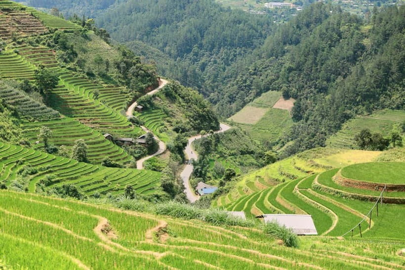 1-Day Sapa Long Trek - Rice Field Terrace, Ethnic Culture - Meeting Hmong and Giay communities along the route