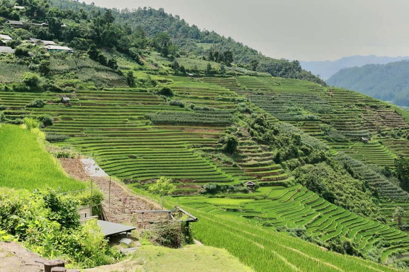 1-Day Sapa Long Trek - Rice Field Terrace, Ethnic Culture - Traditional clothing, natural dyes, and the final walk to Ta Van