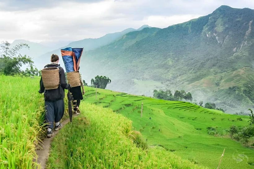 1-Day Sapa Long Trek - Rice Field Terrace, Ethnic Culture - Is $24 good value?