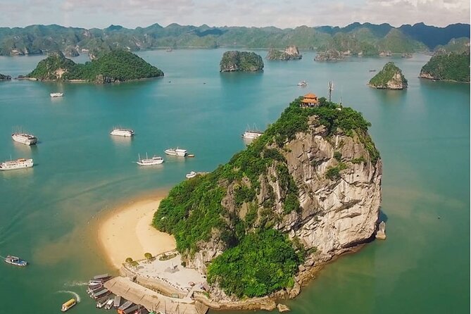 1 Day Tour to Halong Bay Cruise from 3 - 5 star Cruise & Transfer - Hang Luon and the optional paddle through the lagoon