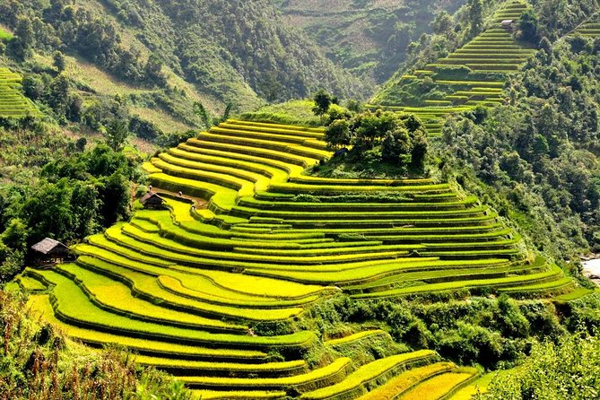 15-Day Majestic Vietnam FULL Package - 68% OFF + Bonuses - Ho Chi Minh City, the Mekong Delta, and Cu Chi Tunnels