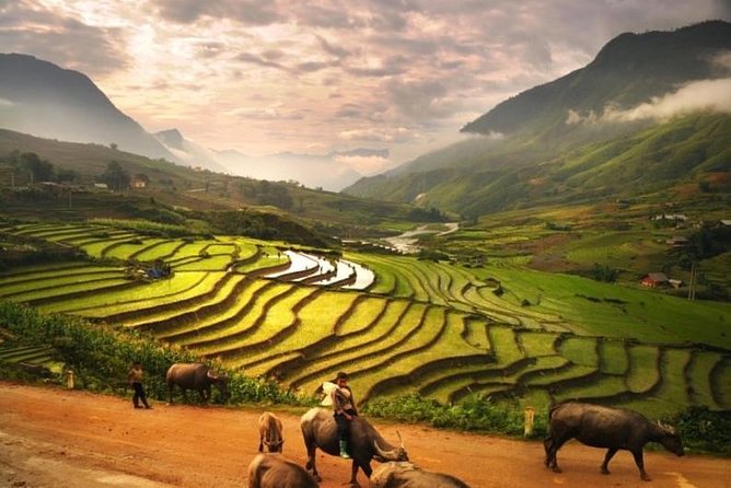 15-Day Majestic Vietnam FULL Package - 68% OFF + Bonuses - What the package includes, and what remains yours
