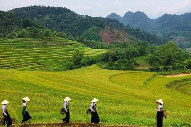 15-Day Vietnam Itinerary All in One | Travel Package 2026-2027 - Pu Luong and Mai Chau bring the quietest days