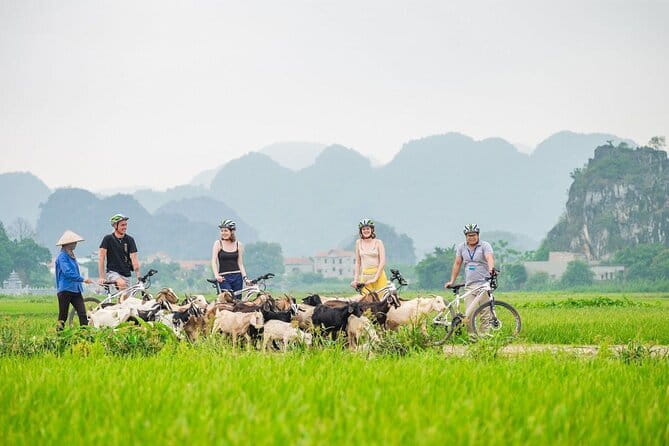 17-Day Vietnam Tour | Explore the Best Highlights of Vietnam - A north-to-south route with very little guesswork