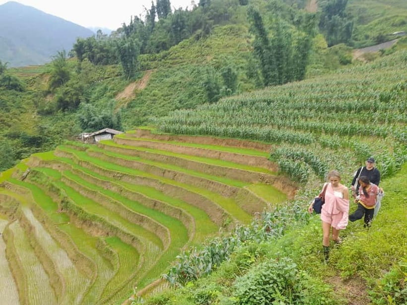 2-Day Sa Pa Ethnic Homestay Tour & Trek with Limousine Bus - Weather, footwear, and physical effort