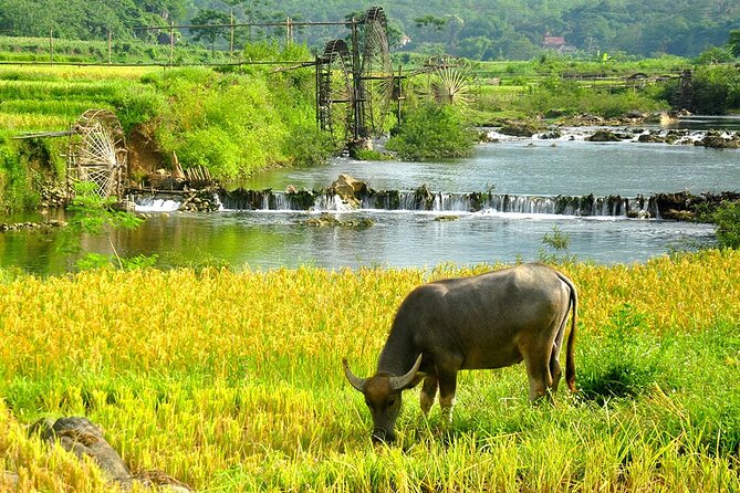 2 Days Pu Luong Offbeat Trekking Best for Mountain Lovers - Day one: from Hanoi to Don village