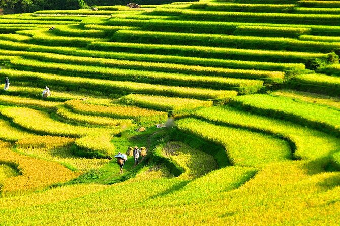2 Days Pu Luong Offbeat Trekking Best for Mountain Lovers - What the $148.39 price really covers