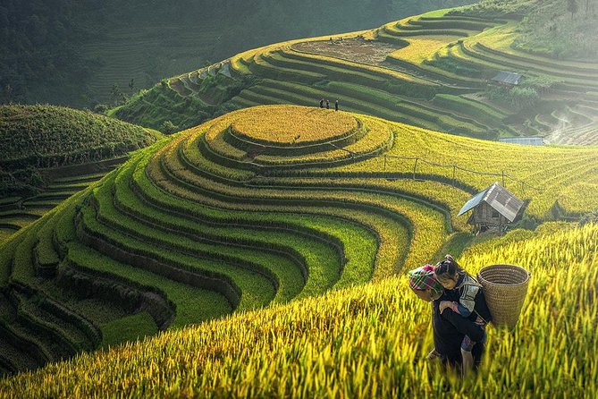 2-Night Sapa Tour with Fansipan Peak by Bus from Hanoi - Walking through Y Linh Ho and Lao Chai