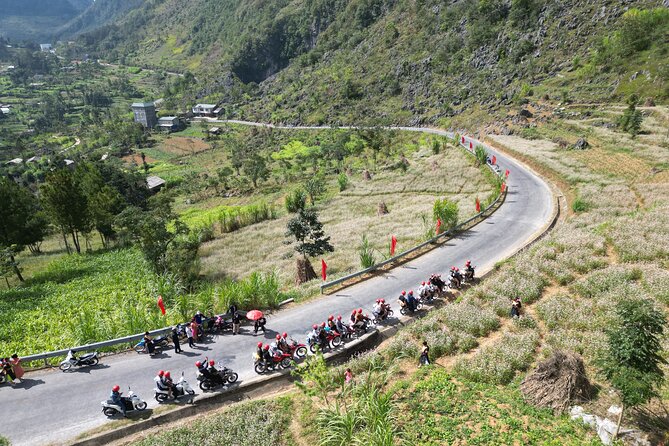 3 Day Ha Giang Loop Small Group Guided Motorbike Tour With Rider - Dong Van Morning and the Road to Ma Pi Leng