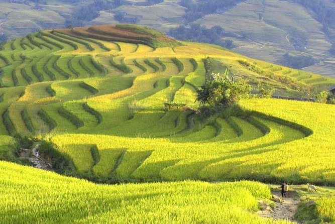 3-Night Sapa Trek and Homestay with Round Trip Transfer from Hanoi - The handicraft center and village culture