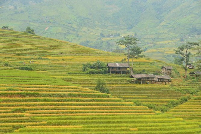 3-Night Sapa Trek and Homestay with Round Trip Transfer from Hanoi - The guide and the value of local help