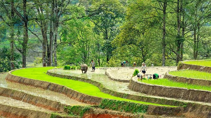 5-Day North Vietnam: Hanoi -Halong Bay -Ninh Binh-Sapa from Hanoi - Day 2: The long road to Sapa and Cat Cat village