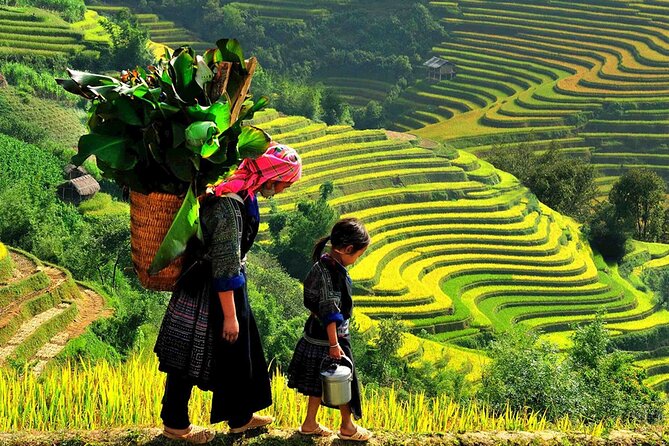 7 Days Vietnam Travel (Hanoi- Ninh Binh - Sapa - Ha Long) - One night on Ha Long Bay with Sung Sot Cave and Ti Top Island