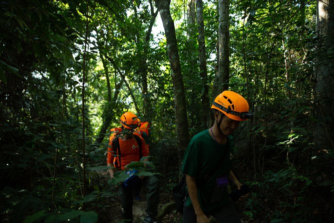 Abandoned Valley Adventure - E Cave & Golden Cave - 1D - Golden Cave at 11:00 a.m.