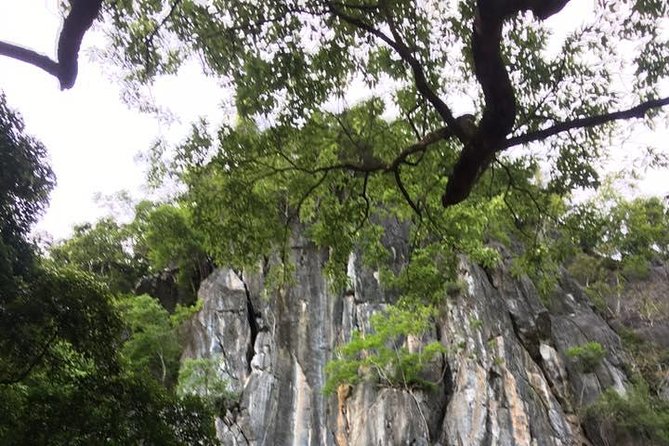 Abandoned Valley - Dark Cave exit, E Cave, Golden Cave- 2D1N - Morning: Dark Cave’s 50-meter back entrance