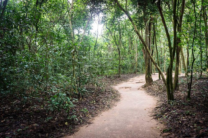 Afternoon Cu Chi Tunnels - Small Group Half-Day Tour - The Ben Dinh Introduction and Film
