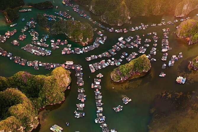 Amazing day - Boat trip discover real Ha Long Bay and Lan Ha Bay - Why the two-bay route matters