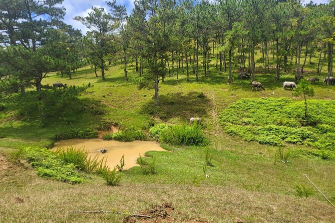ATV Tour In The Dalat Mountains - Leaving Da Lat for the mountain trails