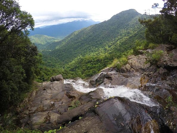 Bach Ma National Park trekking daily tour from Da Nang, Hoi An - Key things to know before you book