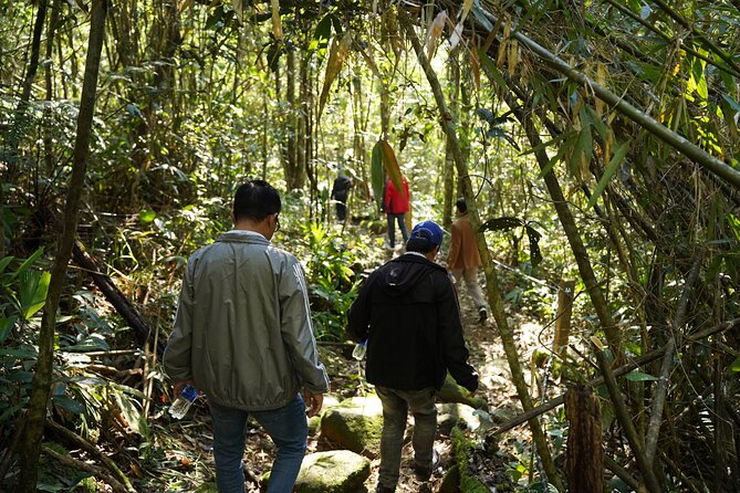 Bach Ma National Park trekking daily tour from Da Nang, Hoi An - What the $69 price includes