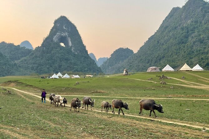 Ban Gioc Waterfall & Mt Angel Eye Full Day Trip with Easy Rider - Is $76 good value?