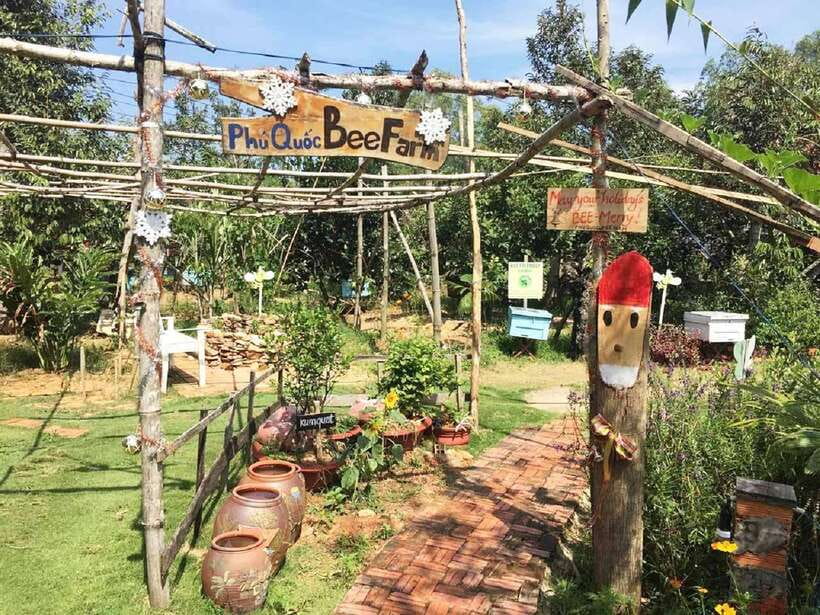 Best Seller Northern Phu Quoc & Kayak Aventure with lunch - The forest road adds scenery, but not everyone will love it