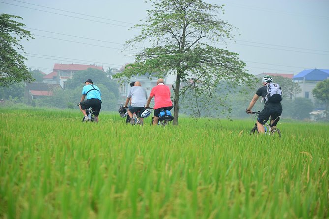 Bicycle Tours Hanoi: Full Day Bicycle Tour Hanoi Countryside - Meeting a bonsai-making family in Lai Da