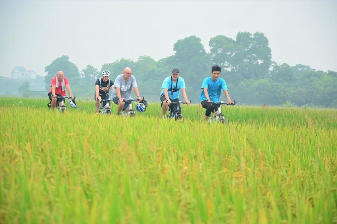 Bicycle Tours Hanoi: Full Day Bicycle Tour Hanoi Countryside - Fruit, a wet market, and a break at lotus lake