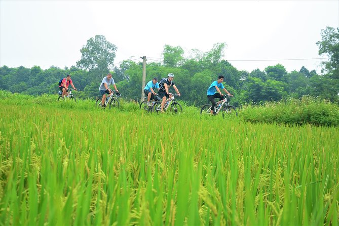 Bicycle Tours Hanoi: Full Day Bicycle Tour Hanoi Countryside - How demanding is the 40-kilometer route?