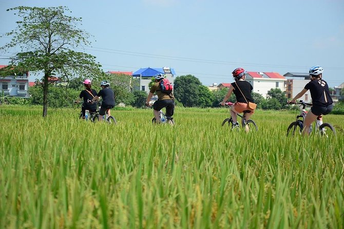 Bicycle Tours Hanoi: Full Day Bicycle Tours City & Countryside - Three hours beside farms in Dong Anh