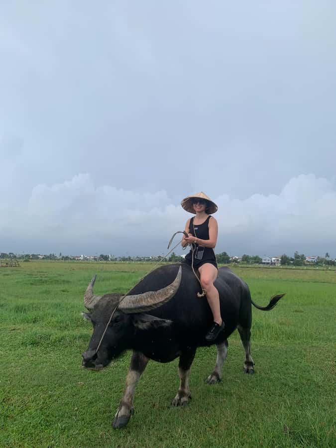 BUFFALO RIDING -BASKET BOAT & BIKE TOUR-HOI AN - Paddling through the Nipa palm waterways