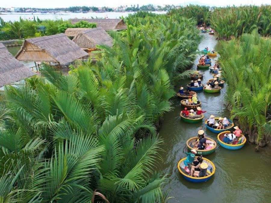 BUFFALO RIDING -BASKET BOAT & BIKE TOUR-HOI AN - Guides, group size, and the pace of the day