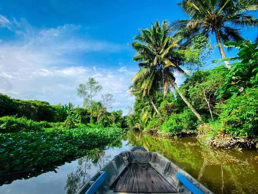 Can Tho: A Real Mekong Tour, Floating Market, Cacao & Life's - A local boat, fresh pineapple, and river life