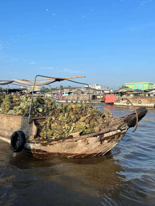 Can Tho: Cai Rang Floating Market and Canals - Cai Rang Floating Market, seen from the working river