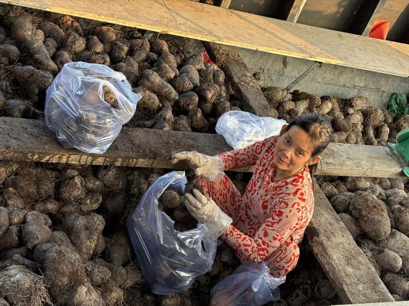 Can Tho: Floating Market, Cacao & Canals with French Guide - The rice noodle workshop