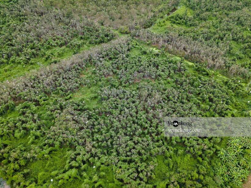 Can Tho: Lung Ngoc Hoang Nature Reserve & Forest Tour - Guides who add more than directions