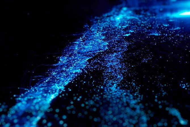 Cat Ba: Sunset & Bioluminescent Kayaking on Lan Ha Bay - Starting from Cat Ba town at 2 pm