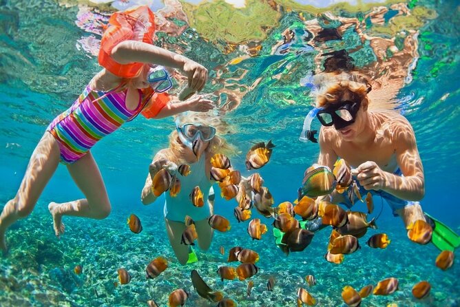 Cham Island Daily-Snorkeling(Optional:Pick up at Cua Dai Port) - Quick reasons to consider this Cham Island trip