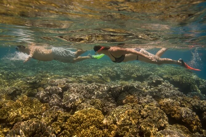 Cham Island Daily-Snorkeling(Optional:Pick up at Cua Dai Port) - Hai Tang Pagoda, the old well, and the island market
