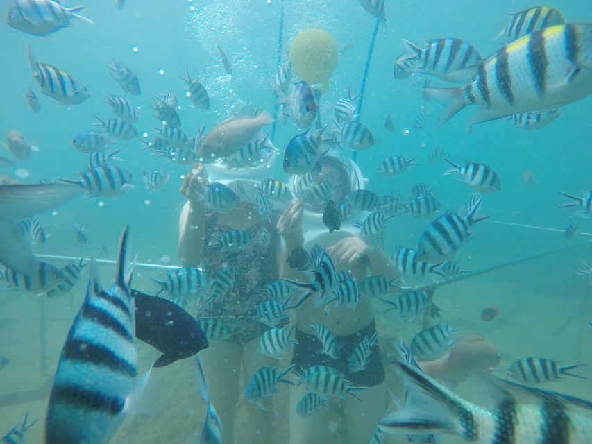 Cham Island: Underwater Walking & Snorkeling Tour - A seabed walk for non-divers