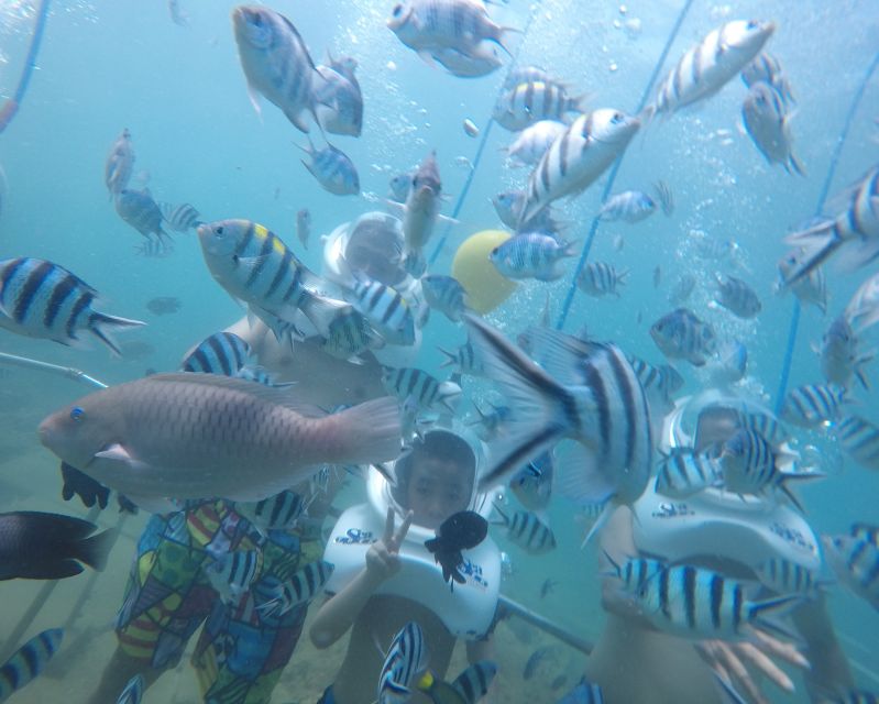 Cham Island: Underwater Walking & Snorkeling Tour - Leaving Cua Dai Wharf by wooden boat
