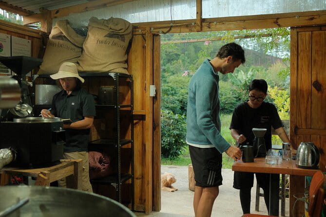 Coffee Farm Tour with Roasting & Tasting Workshop - Da Lat - Learning how processing changes flavor