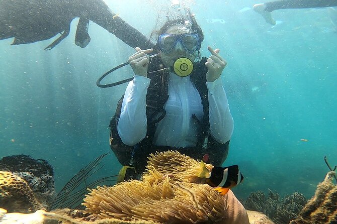 Coral Reef Snorkeling and Floating Bar Party from Nha Trang - What the $29.68 price really buys you