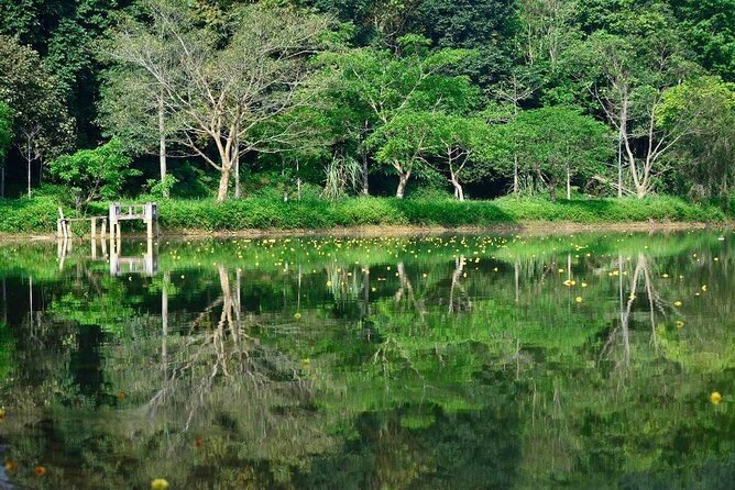 Cuc Phuong National Park Private Day Tour: Trekking & Primates - The 8:00 a.m. departure from Hanoi