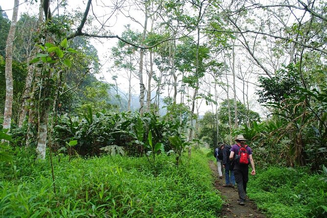 Cuc Phuong National Park Private Day Tour: Trekking & Primates - The Endangered Primate Rescue Centre