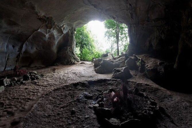 Cuc Phuong National Park Private Day Tour: Trekking & Primates - What the jungle walk can and cannot promise