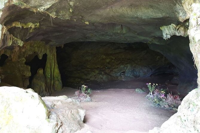 Cuc Phuong National Park Private Day Tour: Trekking & Primates - The long ride home